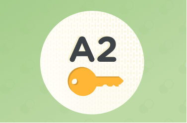 a2-key