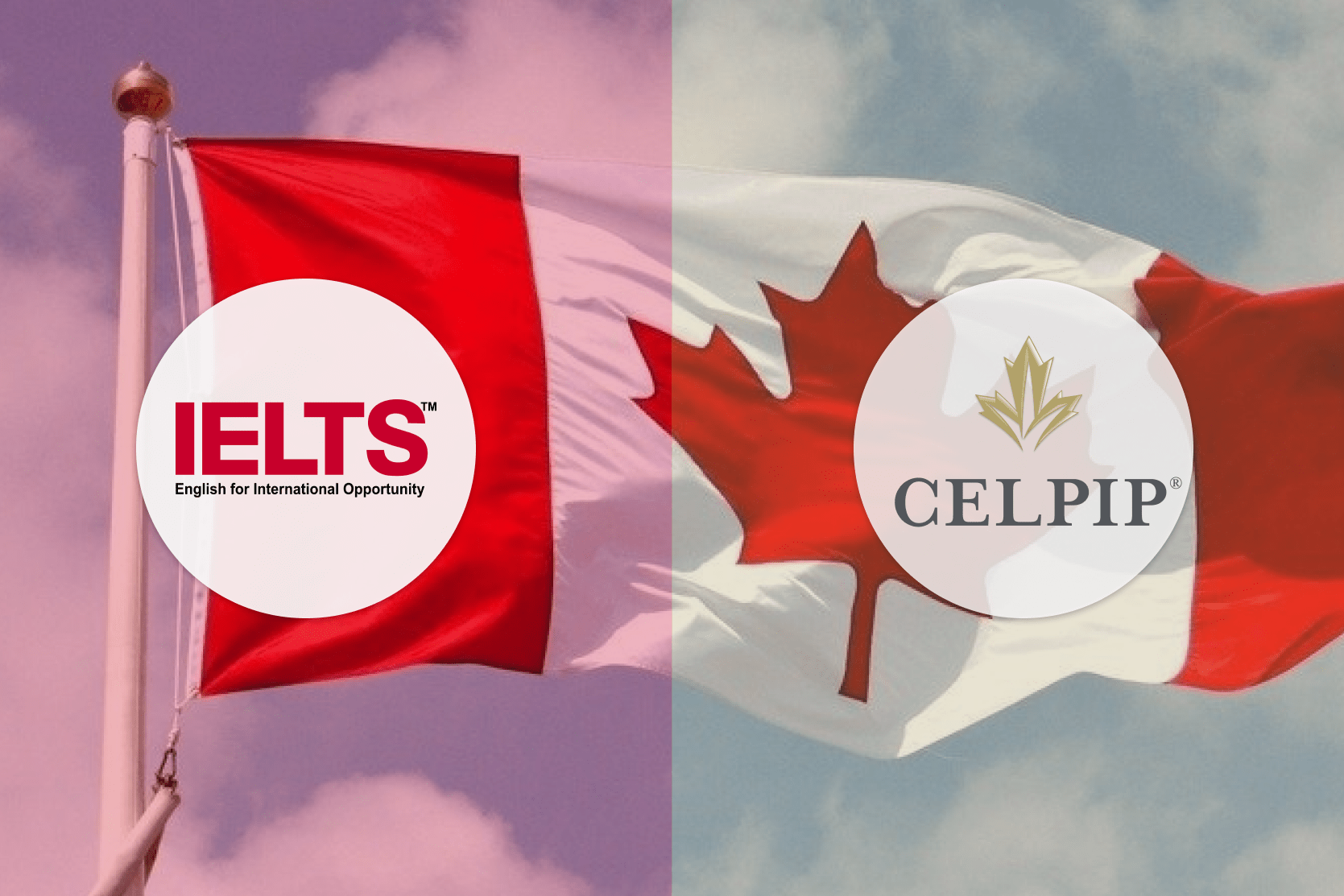 ielts-celpip-which-should-i-take-cover-image